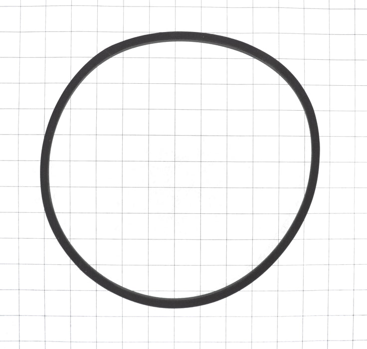 Agitator belt