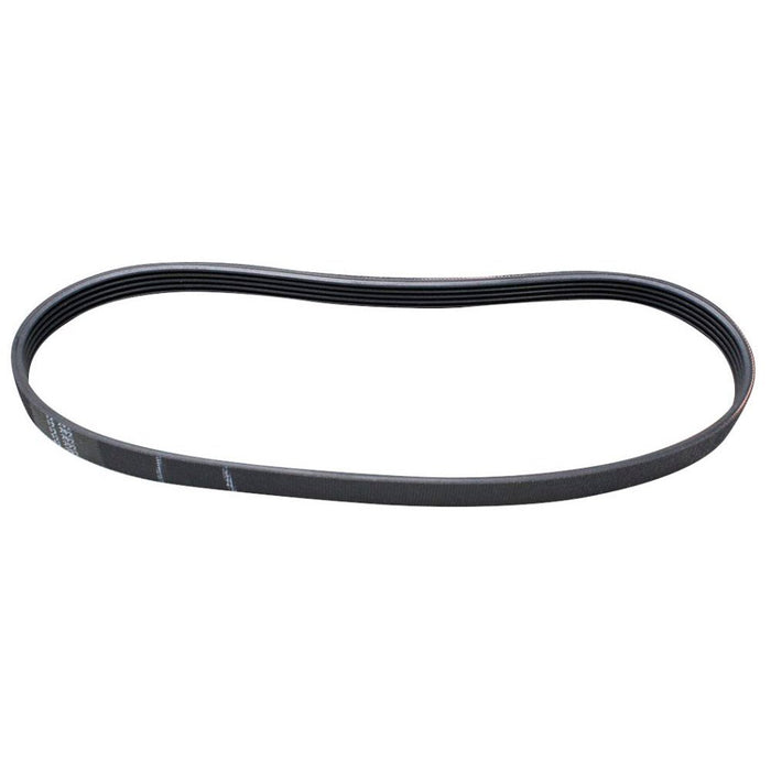 Whirlpool Washer Drive Belt - WPW10006384