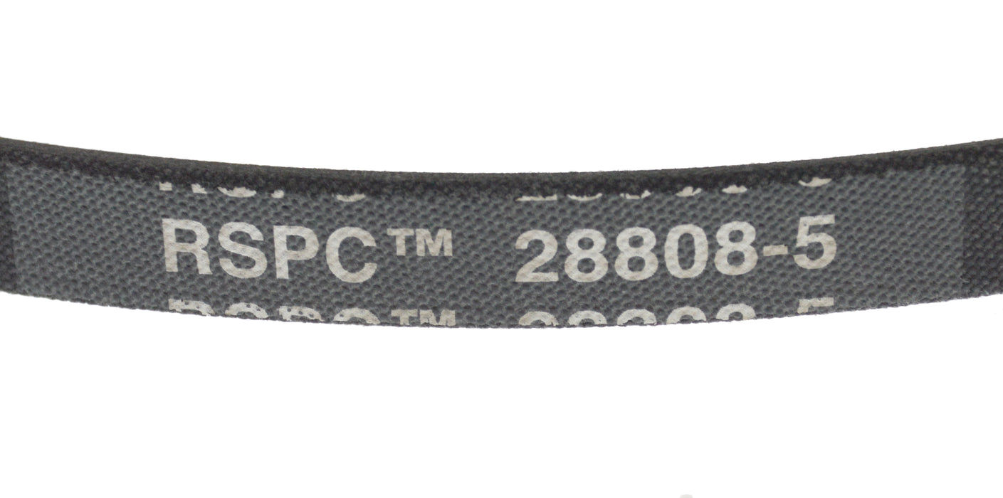 Agitator belt