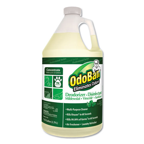 OdoBan Concentrated Odor Eliminator, Eucalyptus, 1 gal