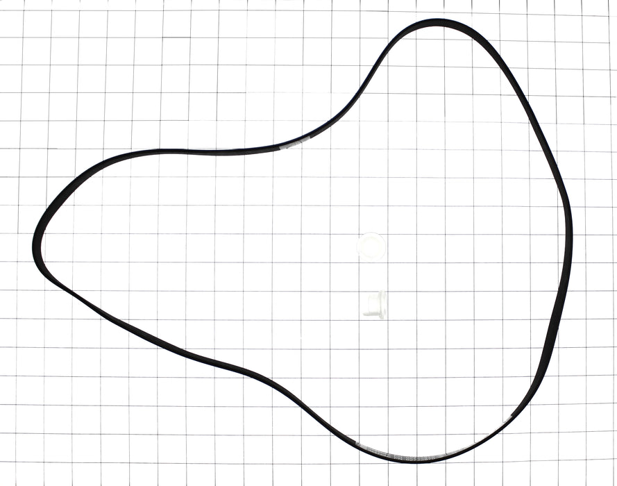 Whirlpool Belt - 12001788